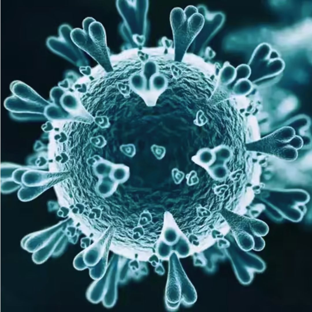 Nipah Virus Nepal Risk: Why India’s Outbreak Should Concern Kathmandu