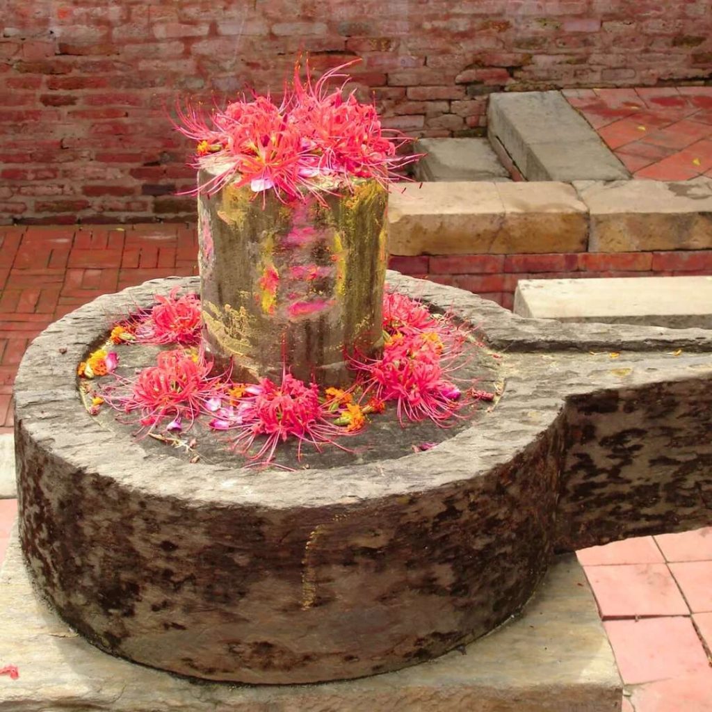 Maha Shivratri 2026 Fasting Guide: How to Observe the Fast & Nirjala Vrat Benefits