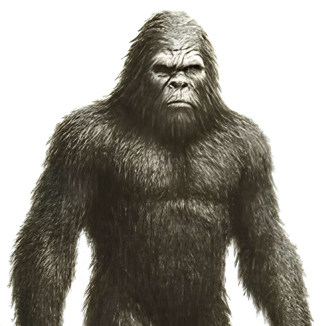 Are Sasquatch and Yeti the Same Creature?
